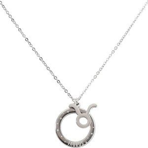 NWT   Quotes by Izzy and Oliver Stainless Steel Taurus Pendant Necklace